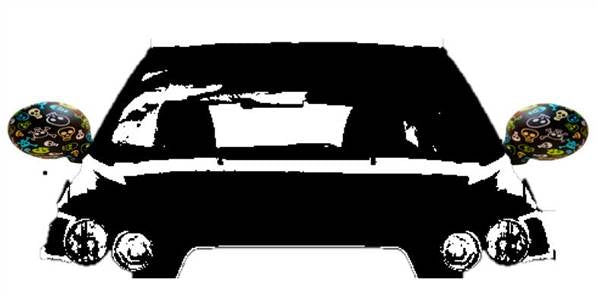 Housse décorative tête de mort