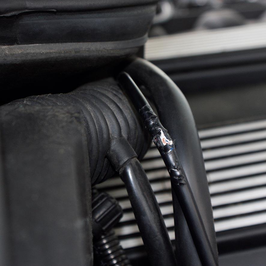 Boîtier anti-martre avec décharge électrique