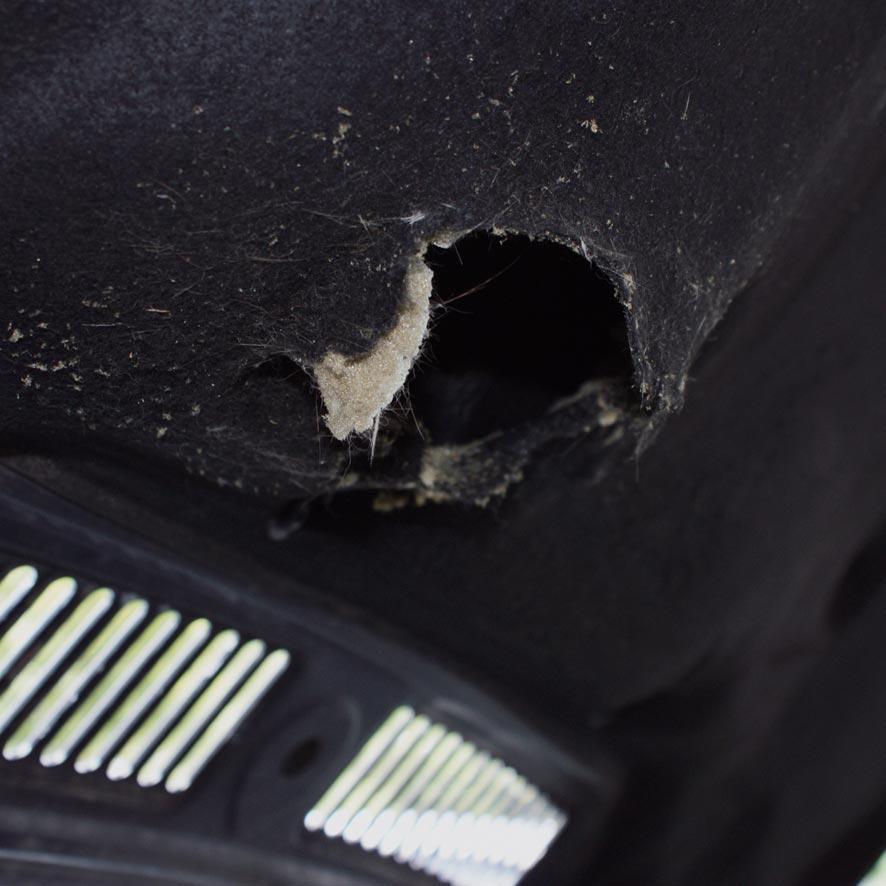 Boîtier anti-martre avec décharge électrique