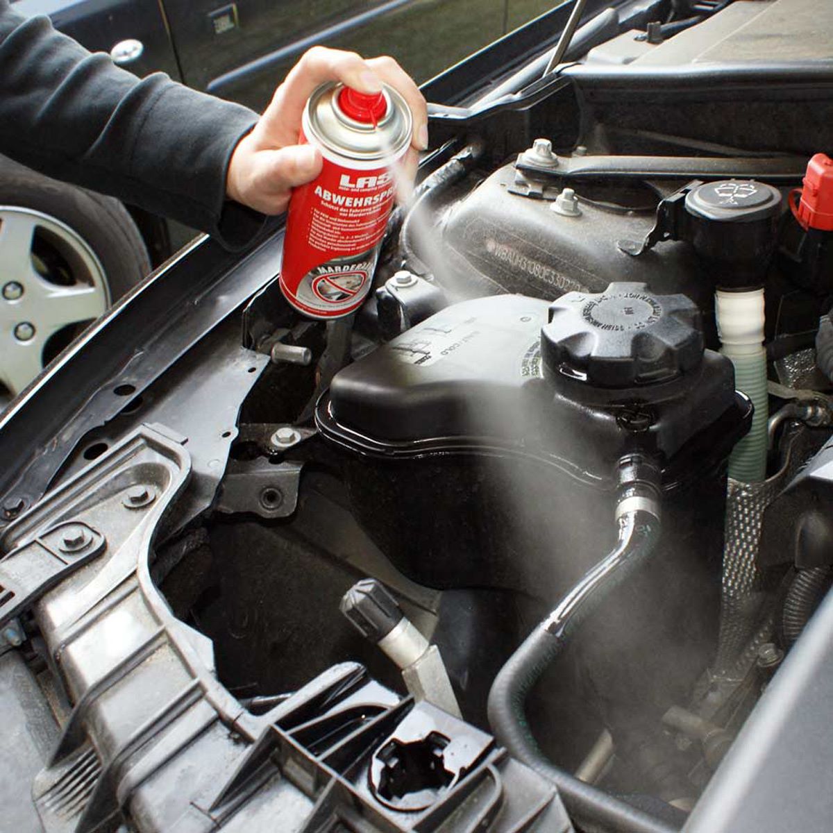 Spray Répulsif Anti-martre pour voiture