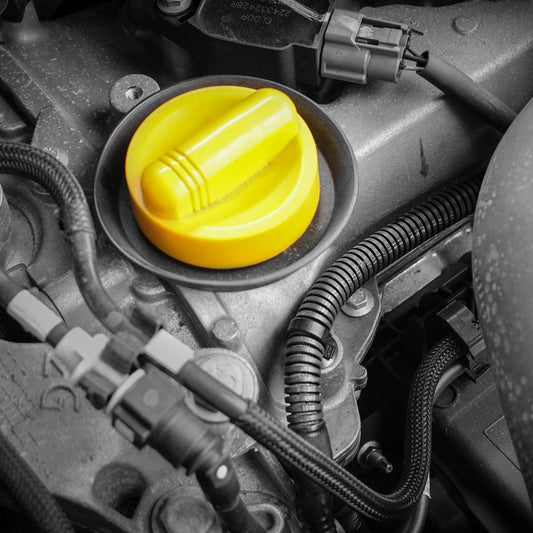 Gaine de protection Anti-martre pour voiture