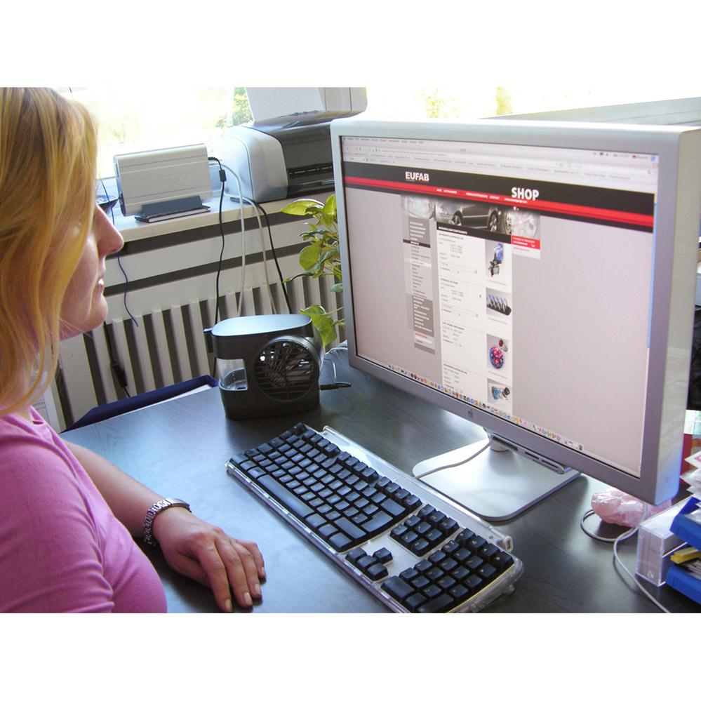 Mini Rafraîchisseur 12V-220V