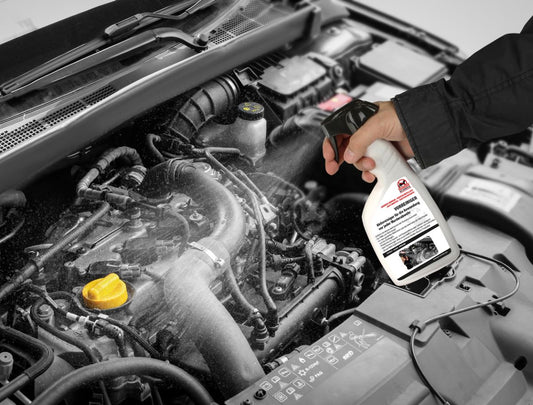 Spray prétraitement martres - 500ml