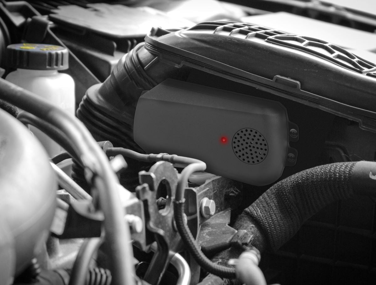 Appareil anti-martres ultrason à pile