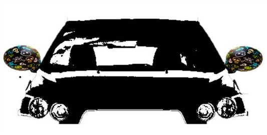 Housse décorative tête de mort