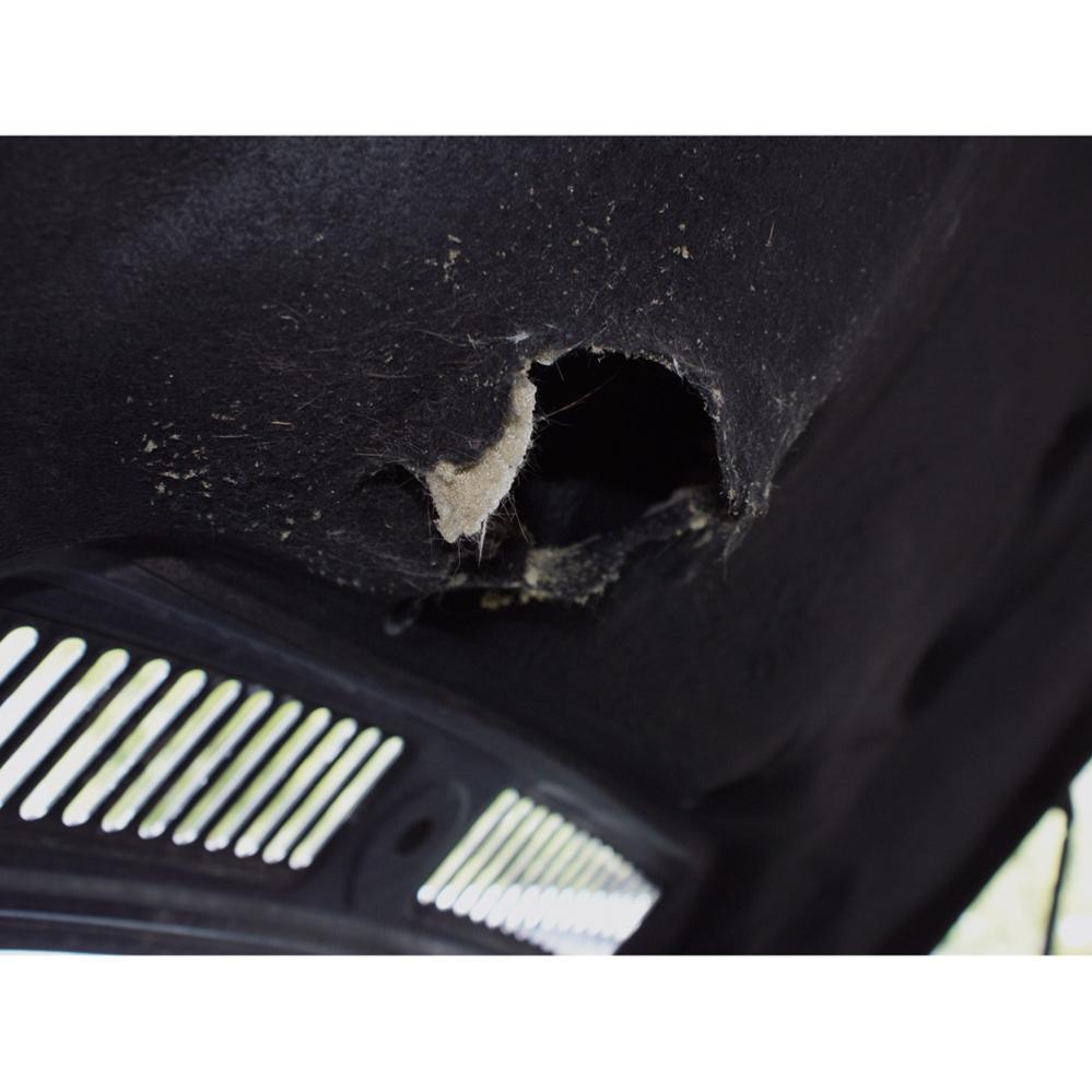 Boîtier anti-martre à ultrasons