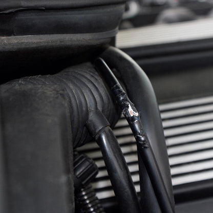 Boîtier anti-martre à piles