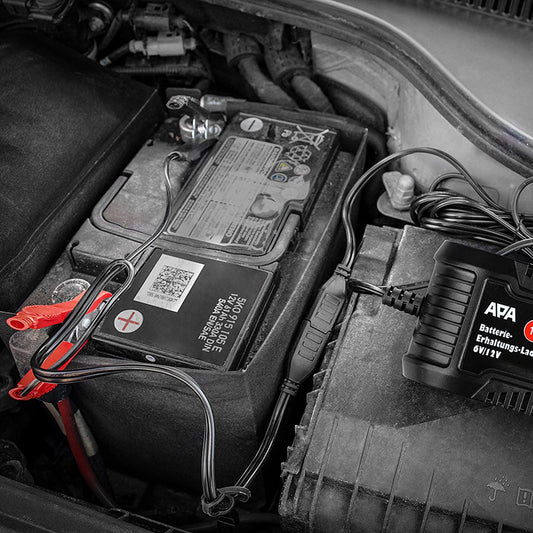 Chargeur de batterie 6/12V 1A